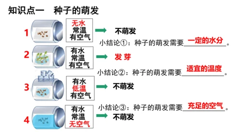 人教版七年级生物上册第三单元第一与二章复习课件(共21张PPT)