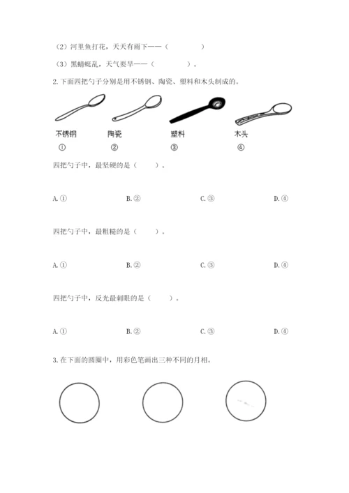 教科版二年级上册科学期末测试卷（考点精练）.docx
