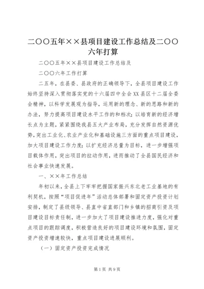 二○○五年××县项目建设工作总结及二○○六年打算.docx