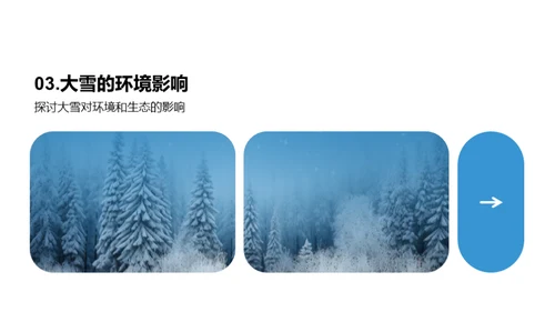 雪的奥秘与影响