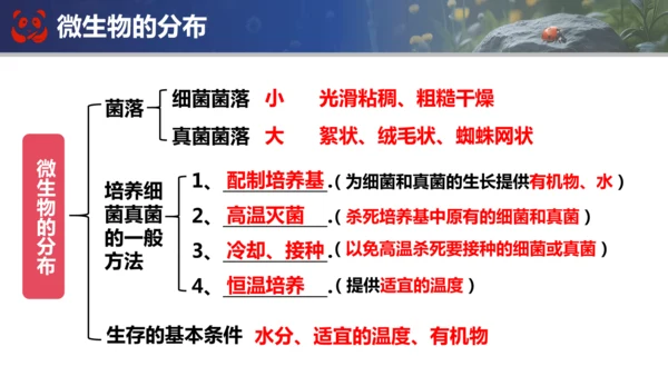 人教版（2024）七年级上册生物七年级上册期末总复习课件(共31张PPT)