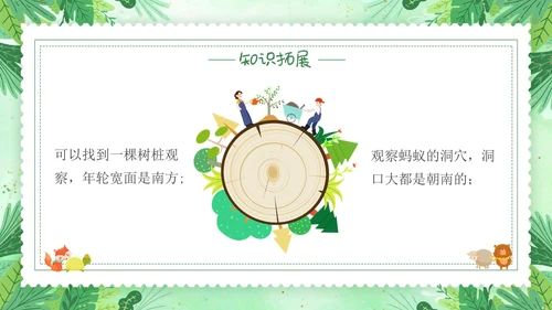要是你在野外迷了路小清新二年级语文下册PPT小学语文二年级小学语文二年级下册课件
