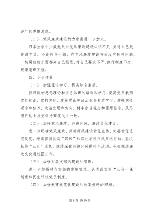 学校党支部自检自查报告.docx