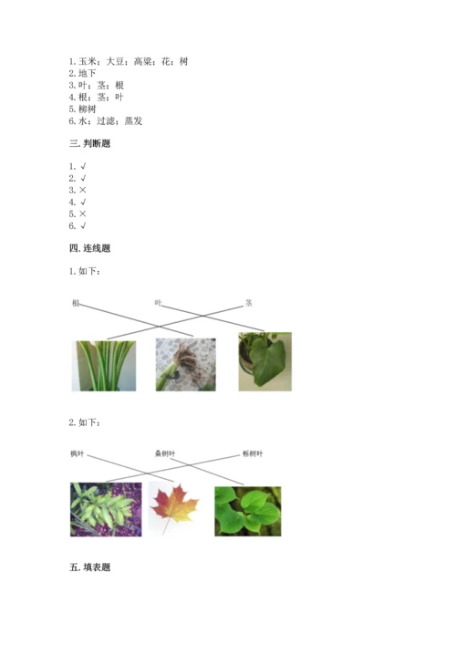 教科版科学一年级上册第一单元《植物》测试卷附参考答案【完整版】.docx