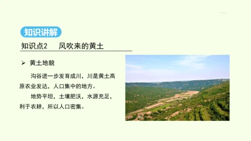 6.3 世界最大的黄土堆积区——黄土高原 第1课时 文明的摇篮 风吹来的黄土（课件31张）- 人教版
