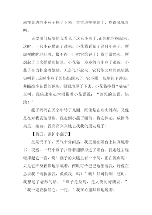 拯救小燕子作文400字.docx