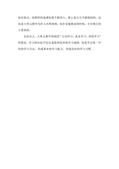 何谓大单元教学.docx