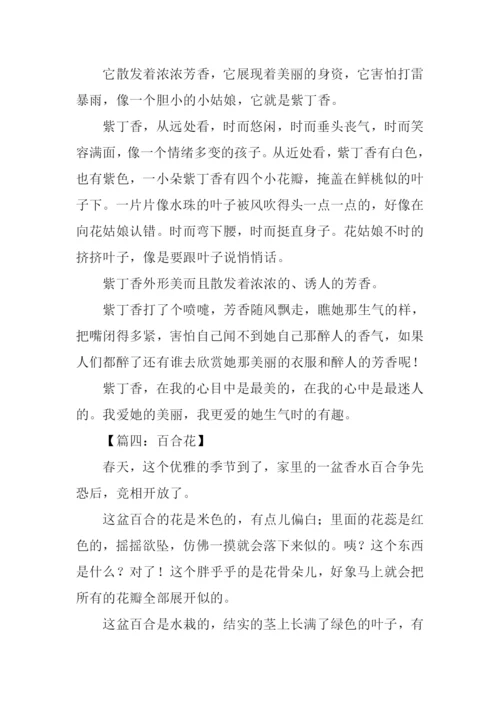 花的作文400字四年级.docx
