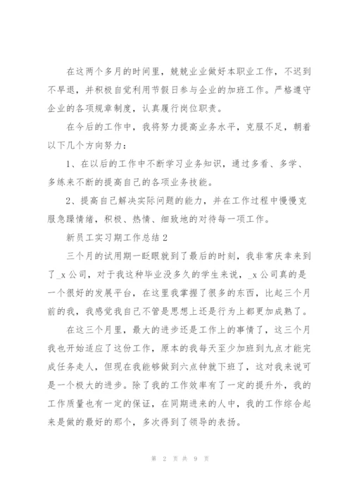 新员工实习期工作总结5篇.docx