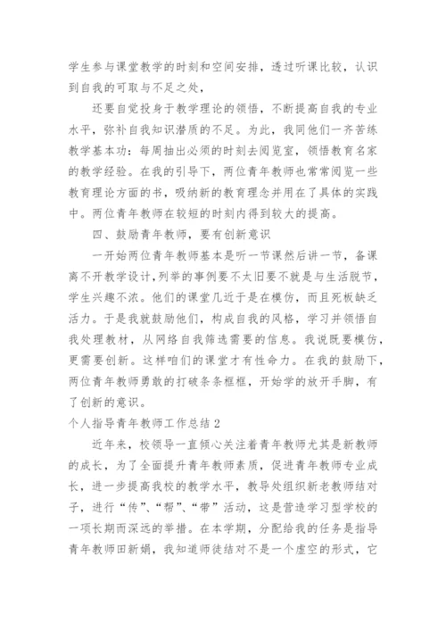 个人指导青年教师工作总结.docx