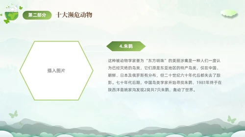 绿色清新剪纸风保护濒危动物拯救美好生命主题PPT世界动物日