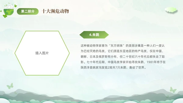 绿色清新剪纸风保护濒危动物拯救美好生命主题PPT世界动物日
