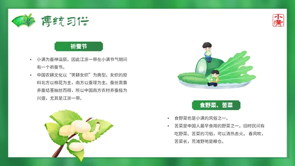 绿意春天小满时节二十四节气通用PPT模板