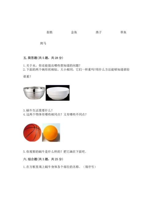 教科版一年级下册科学期末测试卷含完整答案【全国通用】.docx