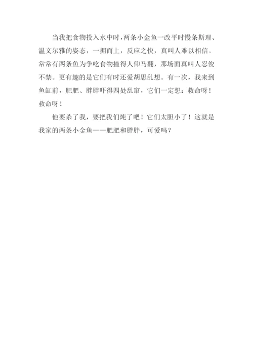 我家的小金鱼作文350字.docx