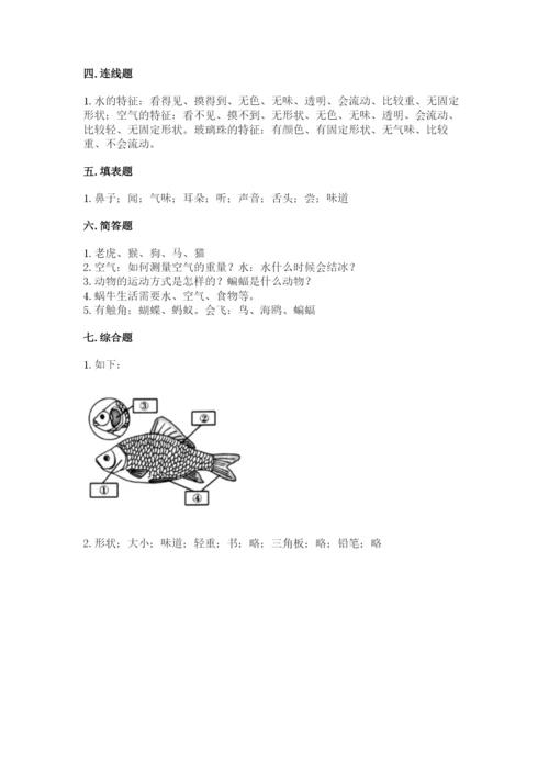 教科版小学科学一年级下册期末测试卷附答案【达标题】.docx
