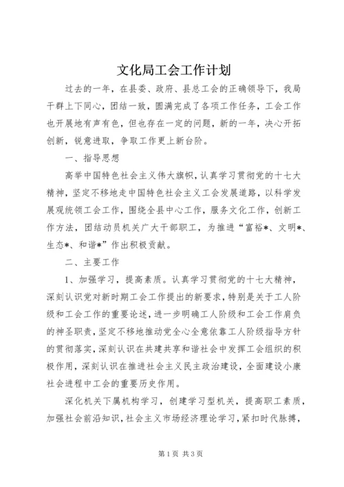 文化局工会工作计划.docx