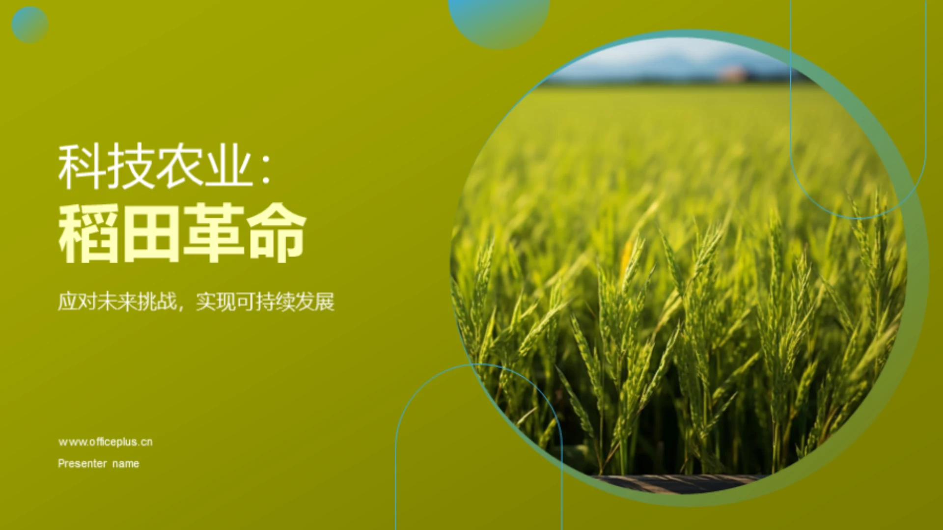 科技农业：稻田革命