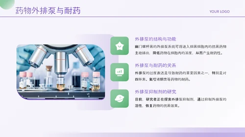 紫绿色简约风医学论文毕业答辩