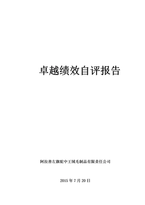 驼中王公司卓越绩效自评报告1.docx