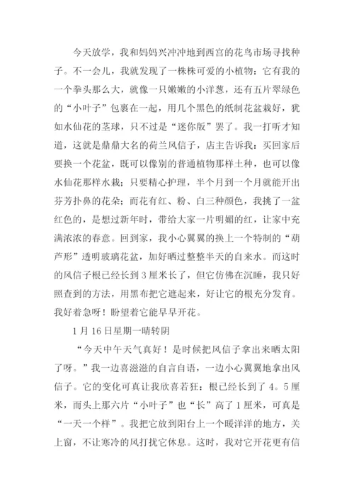 四年级作文观察日记-1.docx