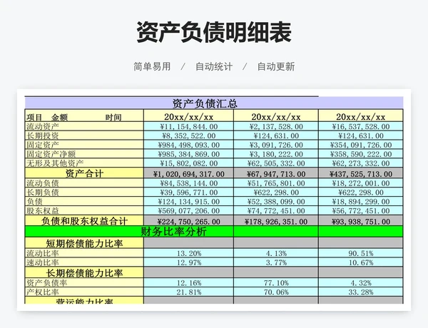 资产负债明细表