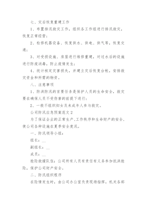 公司防汛应急预案范文_防汛应急预案演练方案.docx