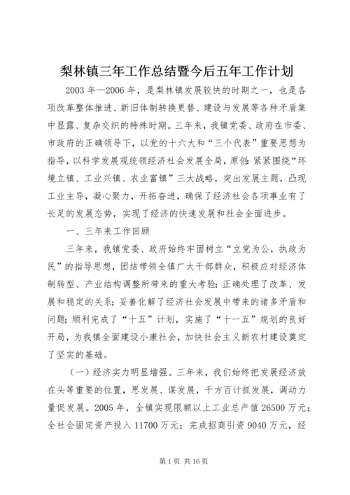 梨林镇三年工作总结暨今后五年工作计划.docx