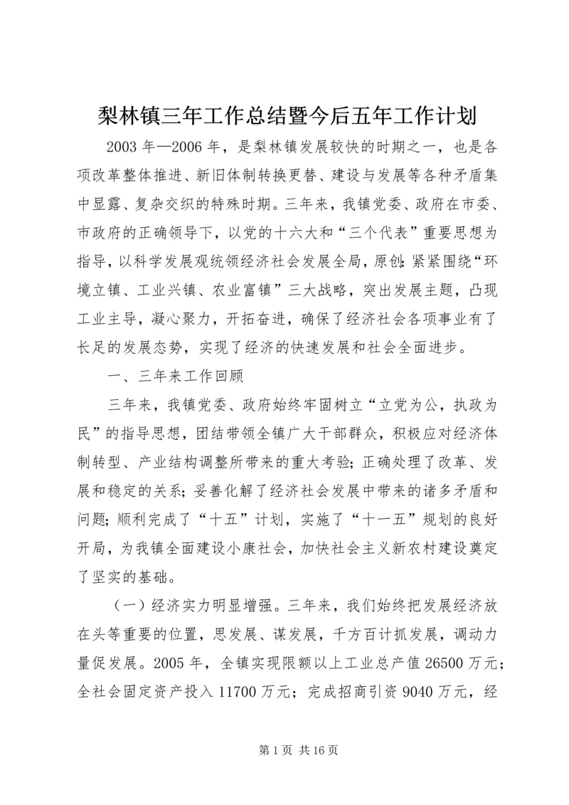 梨林镇三年工作总结暨今后五年工作计划.docx