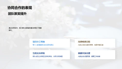 团队力量，成就未来