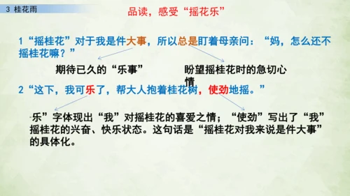 3 桂花雨     课件