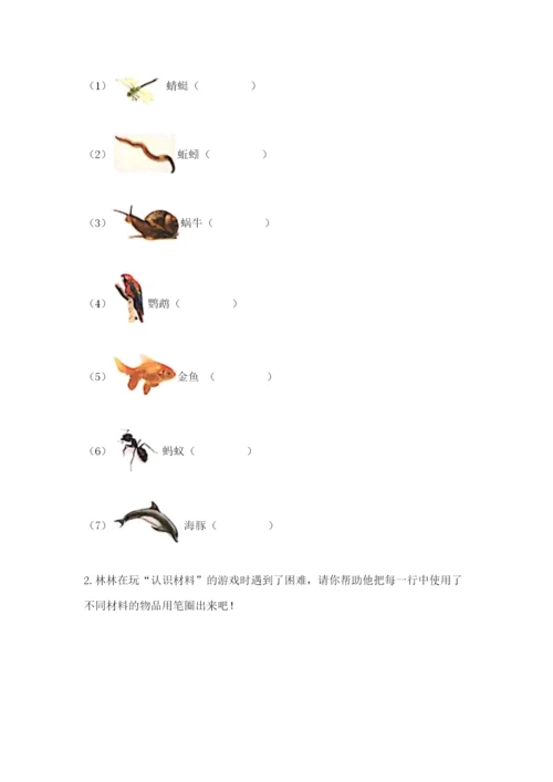 教科版二年级上册科学期末测试卷带答案（培优a卷）.docx