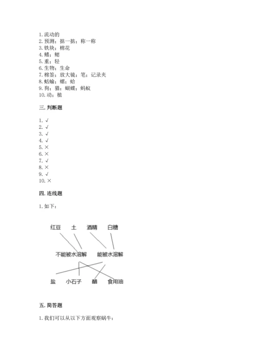 教科版一年级下册科学期末测试卷精品带答案.docx