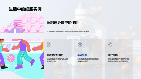 高中生物细胞学PPT模板