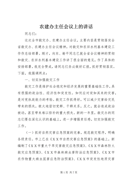 农建办主任会议上的讲话.docx