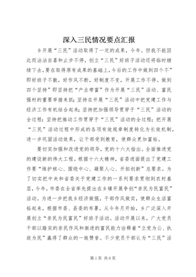 深入三民情况要点汇报.docx