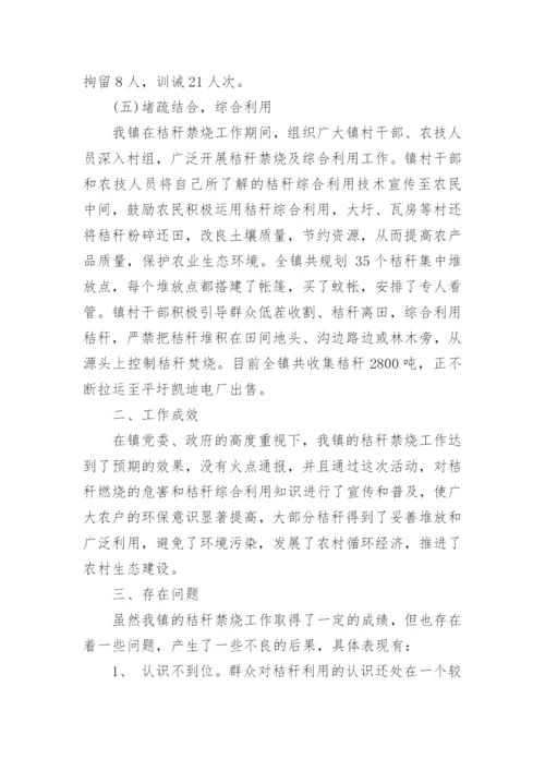 乡镇秸秆禁烧工作总结.docx