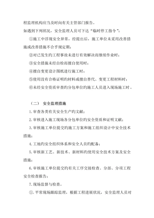 安全监理重点规划及实施标准细则.docx