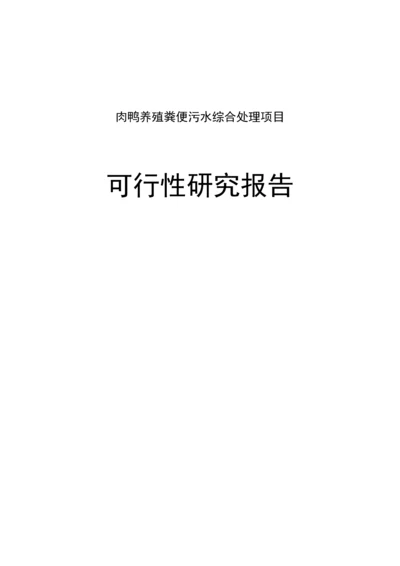 肉鸭养殖粪便污水处理项目可行性研究报告.docx