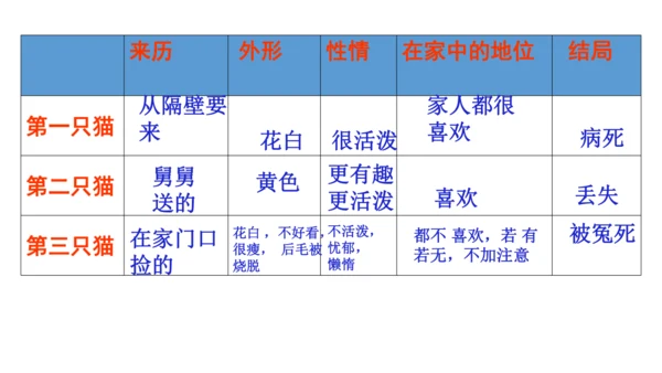 17  猫  课件(共52张PPT)