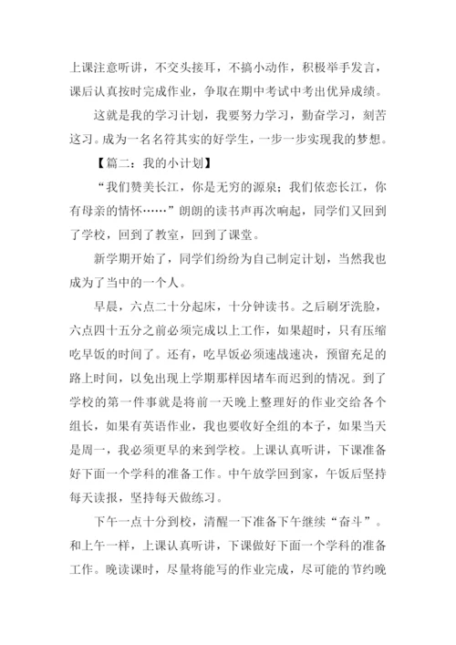 我的小计划作文500字.docx