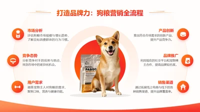 橙色简约风宠物市场营销策略分析
