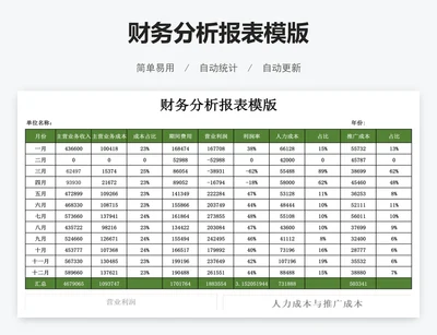 财务分析报表模版