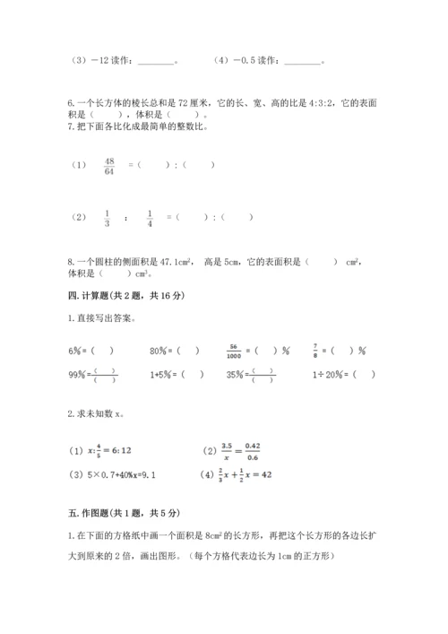 小升初数学期末测试卷精选.docx