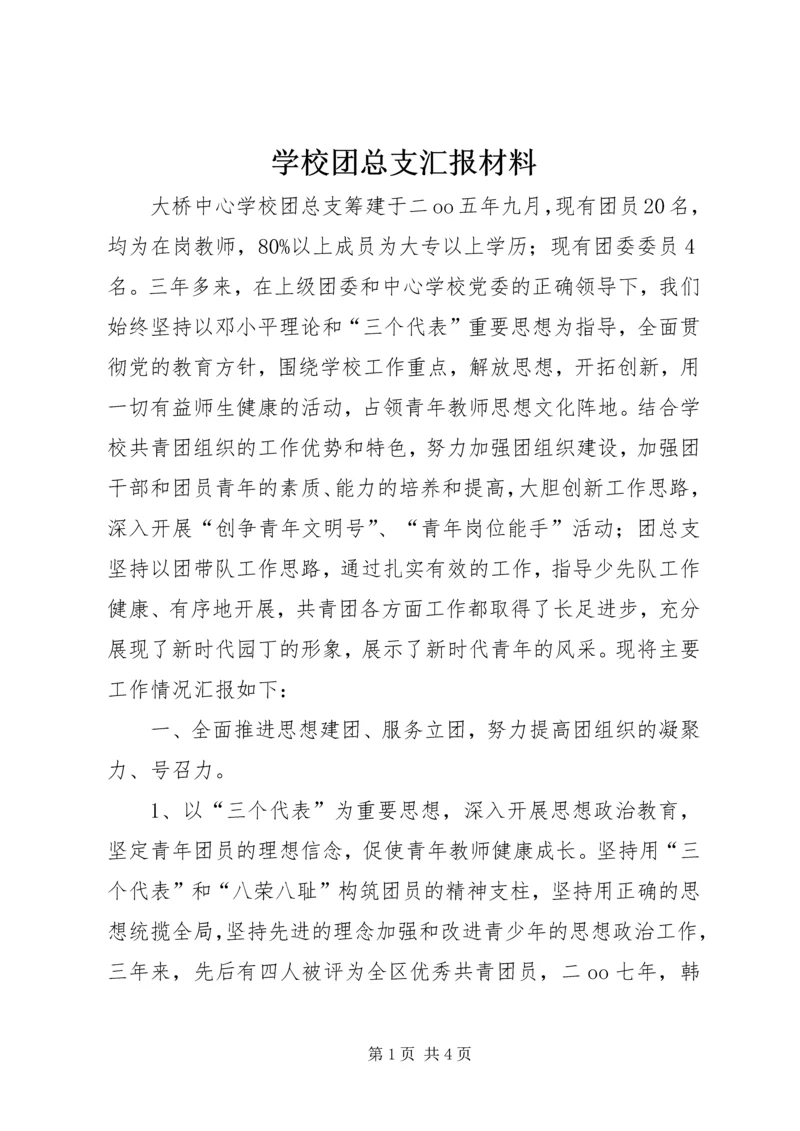 学校团总支汇报材料.docx