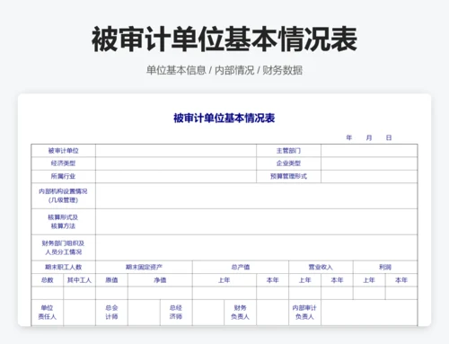 审计报告表