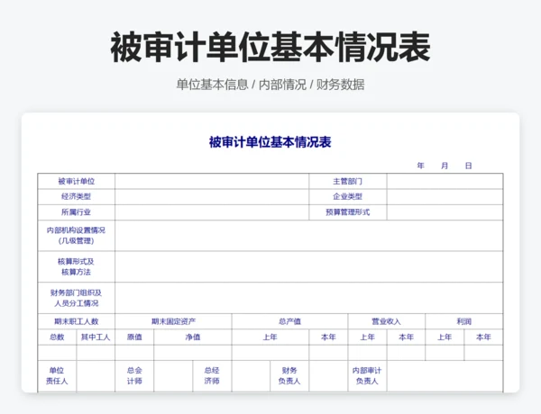 审计报告表