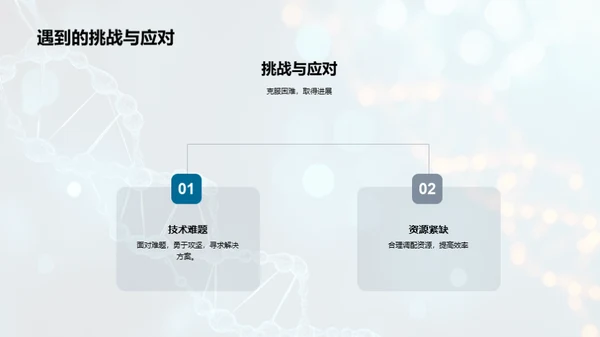 季度科研进展回顾