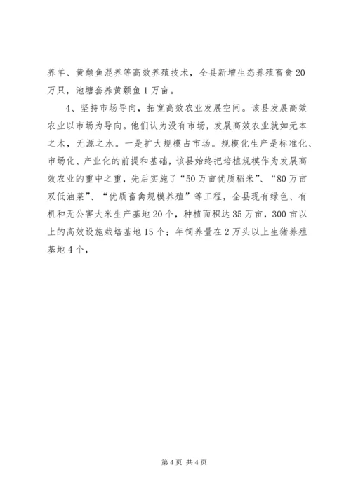 关于XX县区发展高效农业的调查与思考 (10).docx