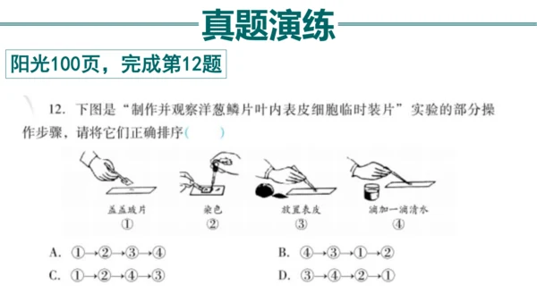 七上 第二单元生物体的结构层次-复习课件(共35张PPT)